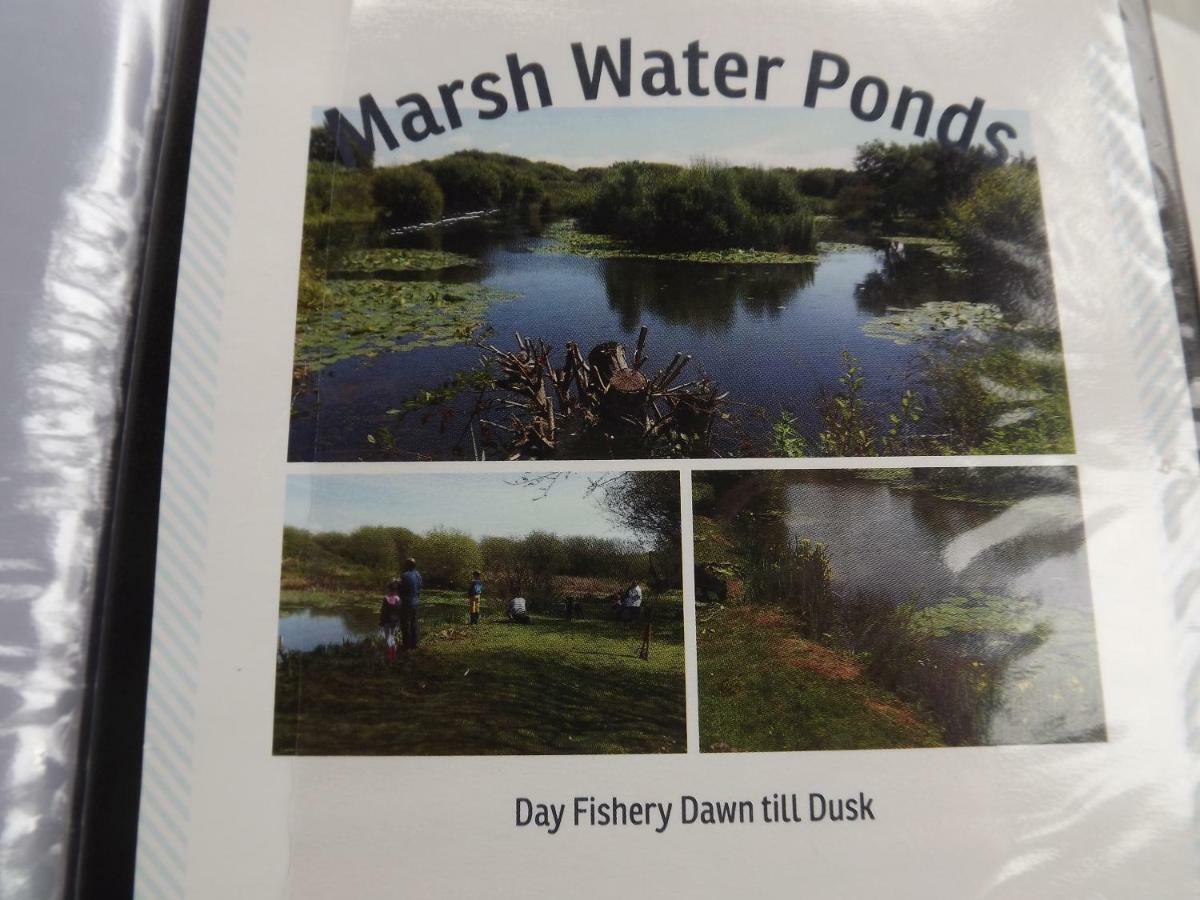 Marsh Water Ponds Fishery Villa Kidwelly Exterior photo
